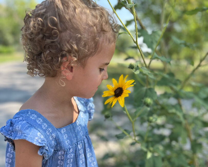 Penny Flowers